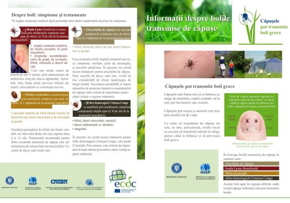 Măsuri profilactice necesare persoanelor care călătoresc în zone endemice de malarie